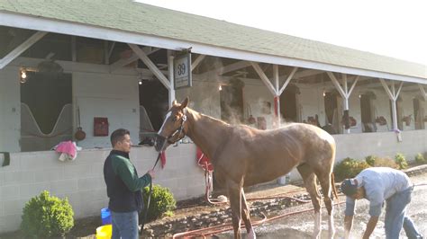 barn and backside tour at churchill downs